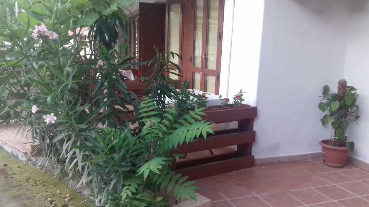 Bed and Breakfast A Casa di Nené à Palinuro Extérieur photo